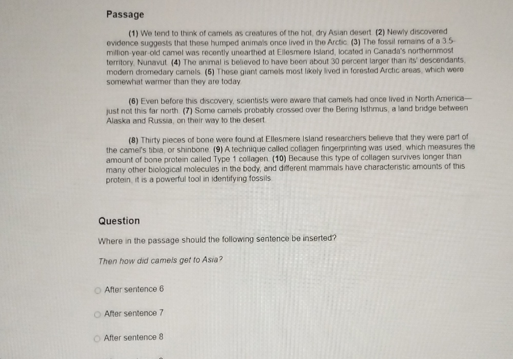 ACUPLACER NEXT GEN WRITING Exam 2 S26